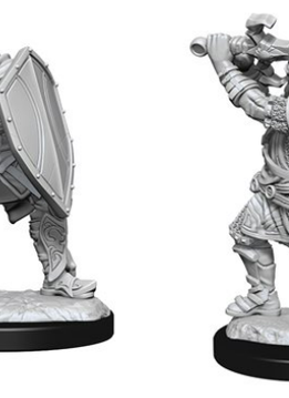 D&D Nolzur's Marvelous Unpainted Miniatures: Wave 14: Human Paladin Male