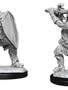 D&D Nolzur's Marvelous Unpainted Miniatures: Wave 14: Human Paladin Male