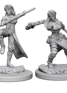 D&D Unpainted Minis: Wave 1 Human Female Monk