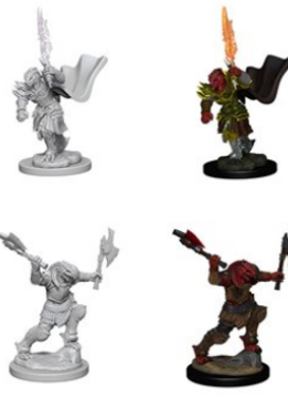 DND Unpainted Minis: Wave 4 Dragonborn Female Fighter