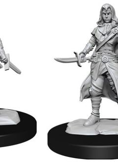 D&D Unpainted Minis: Half-Elf Rogue Female (WV14)