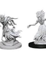 D&D Nolzur's Marvelous Unpainted Miniatures: Wave 3: Wraith & Specter