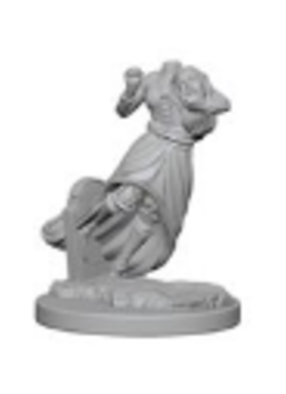 D&D Nolzur's Marvelous Unpainted Miniatures: Wave 1: Ghosts