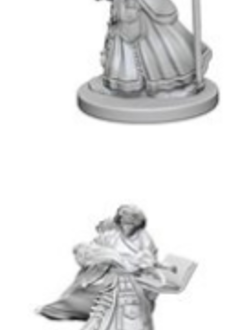 D&D Nolzur's Marvelous Unpainted Miniatures: Wave 1: Human Female Wizard