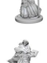 D&D Nolzur's Marvelous Unpainted Miniatures: Wave 1: Human Female Wizard