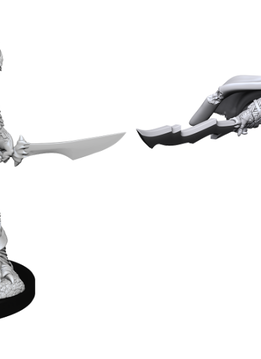 D&D Nolzur's Marvelous Unpainted Miniatures: Wave 15: Dragonborn Fighter Male