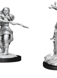 D&D Nolzur's Marvelous Unpainted Miniatures: Wave 14: Human Druid Female