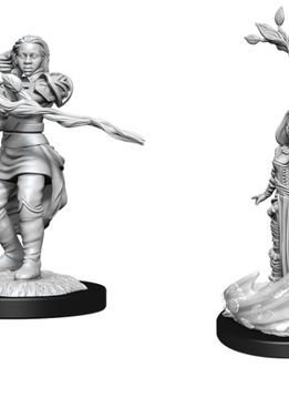 D&D Nolzur's Marvelous Unpainted Miniatures: Wave 14: Human Druid Female