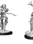 D&D Nolzur's Marvelous Unpainted Miniatures: Wave 14: Human Druid Female