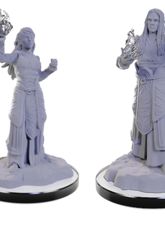 D&D Nolzur's Marvelous Unpainted Miniatures: Wave 22: Elf Wizards