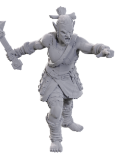 D&D Unpainted Minis: Wave 24 - Lifeleecher Brawler
