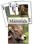 Mammals of the Rocky Mountains Playing Cards