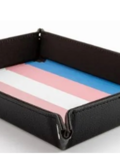 Dice Tray: Pride Transgender