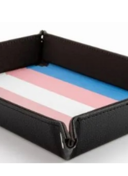 Dice Tray: Pride Transgender
