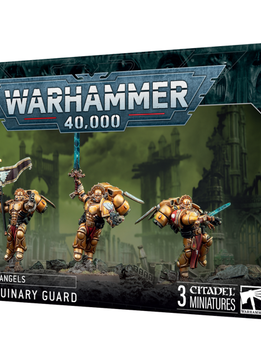 Blood Angels: Sanguinary Guard