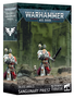Blood Angels: Sanguinary Priest 2024