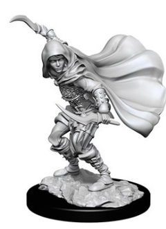 PF Unpainted Minis: Human Rogue Female (WV14)