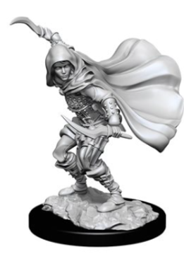 PF Unpainted Minis: Human Rogue Female (WV14)