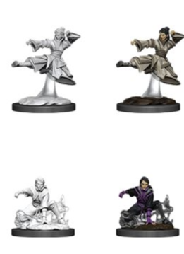 DND Unpainted Minis WV11 Female Human Monk