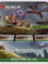 MTG: Bloomburrow - Play Booster Box (FR)