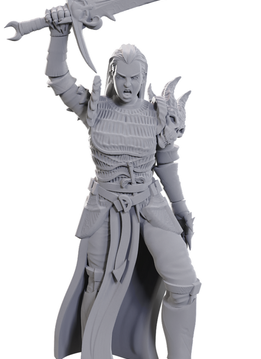 Dnd Unpainted Minis Wv25 Blackguard
