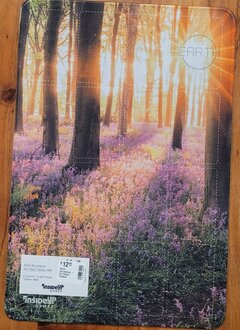 Earth: Abundance - 6th Player Tableau