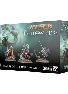 The Hollow King: Blades of the Hollow King