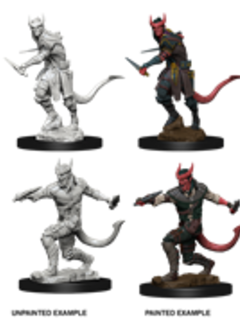 Nolzur's Marvelous Miniatures: Tiefling Male Rogue