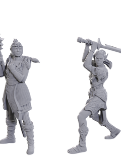 DND Unpainted Minis Special Edition Baldur'S Gate 3 - Lae'Zel & Shadowheart