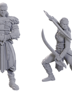 DND Unpainted Minis Special Edition Baldur'S Gate 3 - Jaheira & Halsin