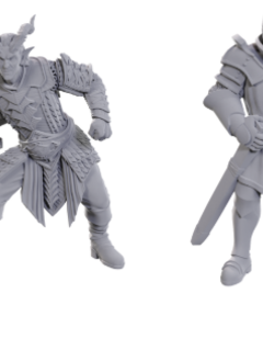 DND Unpainted Minis Special Edition Baldur's Gate 3 - Ulder Ravengard & Zevlor