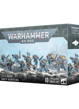 Space Wolves: Grey Hunters