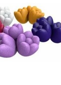 Windmill Valley Tulips (EN)