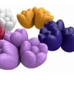 Windmill Valley Tulips (EN)