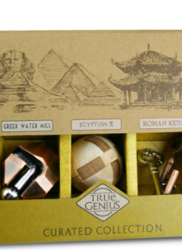 Logic Puzzle - True Genius - Curated Collection