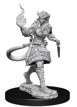 D&D Nolzur's Marvelous Unpainted Miniatures: Wave 15: Tiefling Sorcerer Female