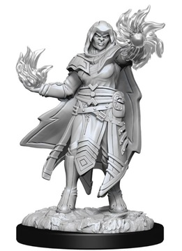 D&D Nolzur's Marvelous Unpainted Miniatures: Wave 15: Hobgoblin Fighter & Hobgoblin Wizard