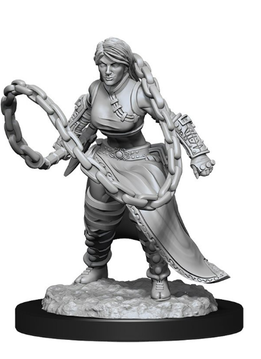 D&D Nolzur's Marvelous Unpainted Miniatures: Wave 14: Human Monk Female