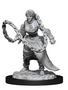 D&D Nolzur's Marvelous Unpainted Miniatures: Wave 14: Human Monk Female