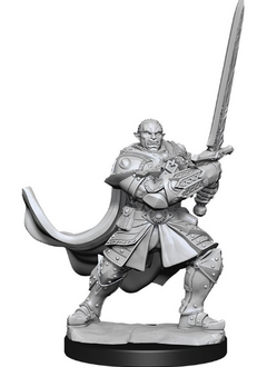 D&D Unpainted: Half-Orc Male Paladin (WV15)