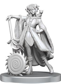 CR Unpainted Minis wv26 Jester & Fjord