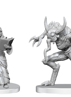 PF Unpainted Minis Wv27 Vloriak & Demonologist