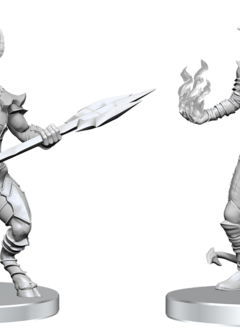 PF Unpainted Minis Wv27 Vordine & Pitborn Rogue