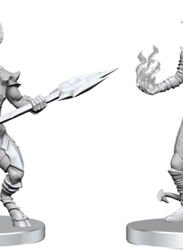 PF Unpainted Minis Wv27 Vordine & Pitborn Rogue
