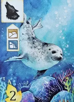 PROMO - Meadow - Promo card Seal of Excellence