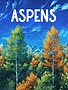 Aspens KS Standard Edition