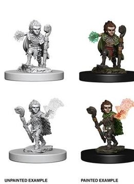 Pathfinder Deep Cuts: Gnome Male Druid