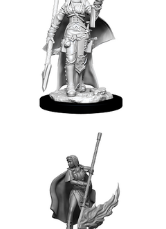 PF Unpainted Minis Wv11 Female Human Oracle