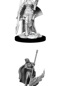PF Unpainted Minis Wv11 Female Human Oracle