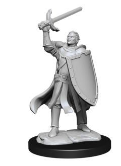 D&D Unpainted Minis: Half-Elf Paladin Male (WV14)
